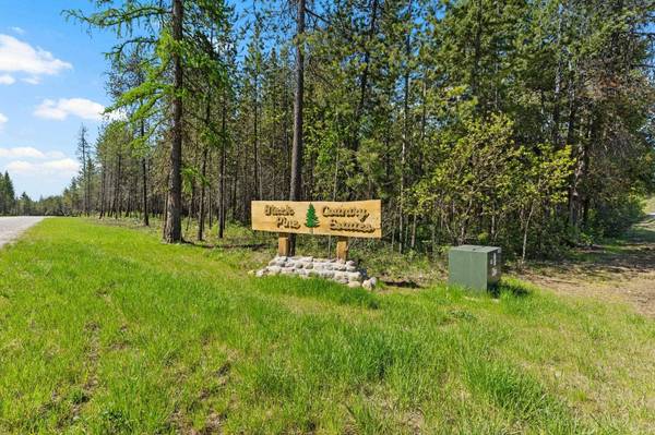 4109 Cemetery Rd, Springdale, WA 99173