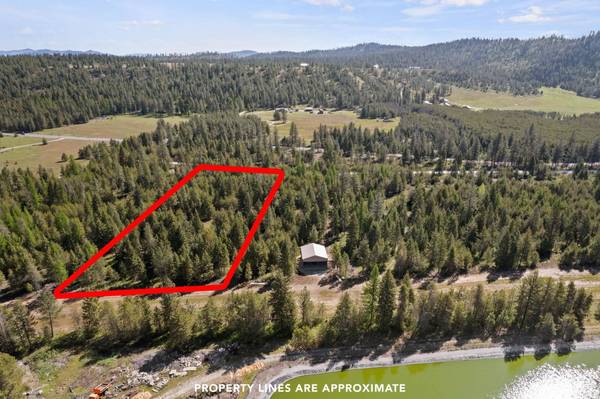 4026 Black Pine WAY, Springdale, WA 99173