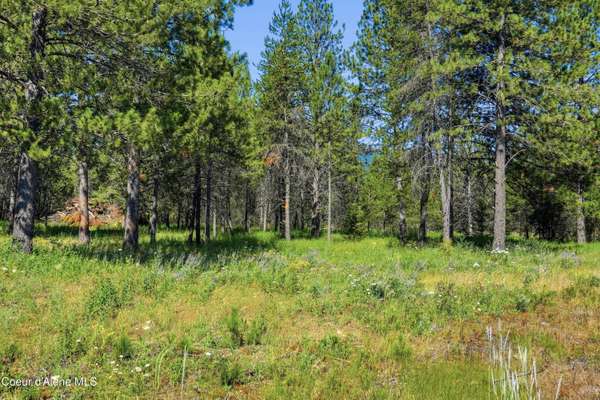 43XX Flatwoods LOOP, Rathdrum, ID 83858