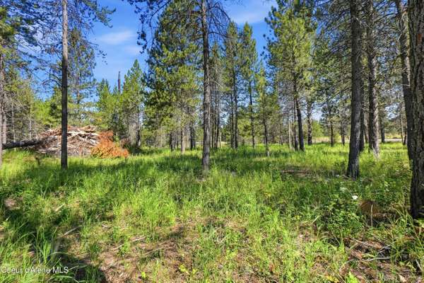 43XX Flatwoods LOOP, Rathdrum, ID 83858
