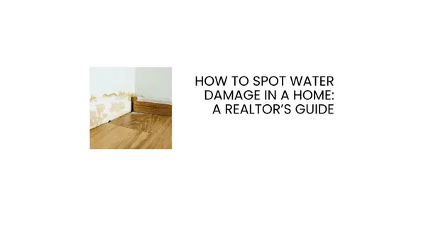 How to Spot Water Damage in a Home: A Realtor’s Guide