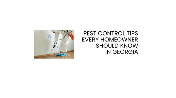 Pest Control Tips Every Homeowner Should Know in Georgia,Helen Pham