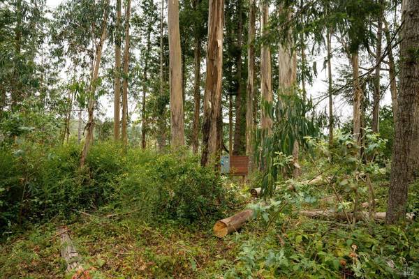 2750 Burnside RD, Sebastopol, CA 95472
