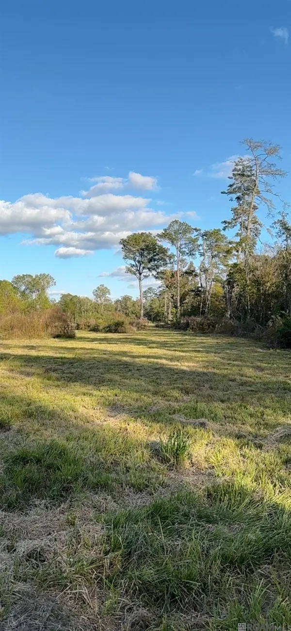 24125 Glory Dr, Livingston, LA 70754