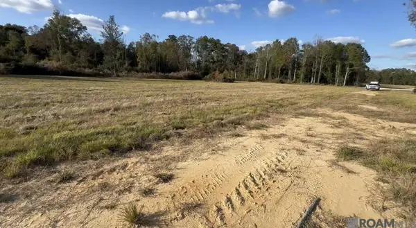 24125 Glory Dr, Livingston, LA 70754