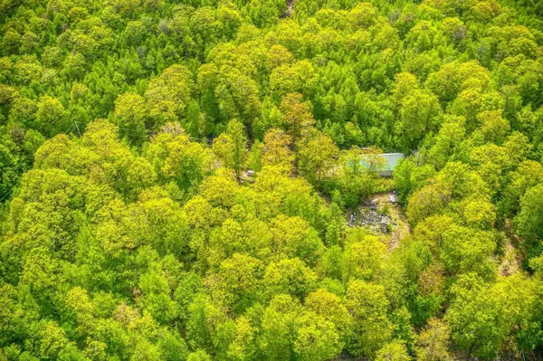 79 Summit DR, New Boston, NH 03070