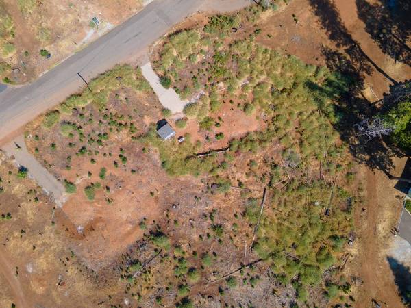 7003 Tyler DR, Grizzly Flats, CA 95636