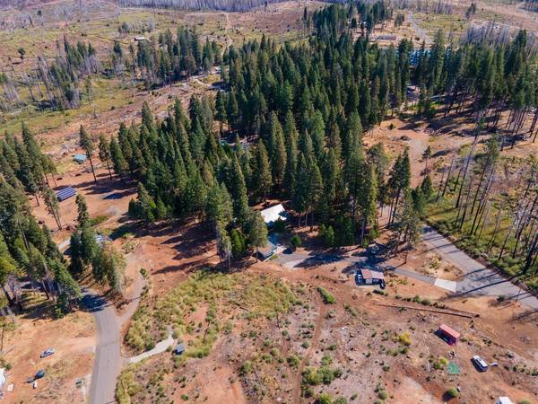 7003 Tyler DR, Grizzly Flats, CA 95636
