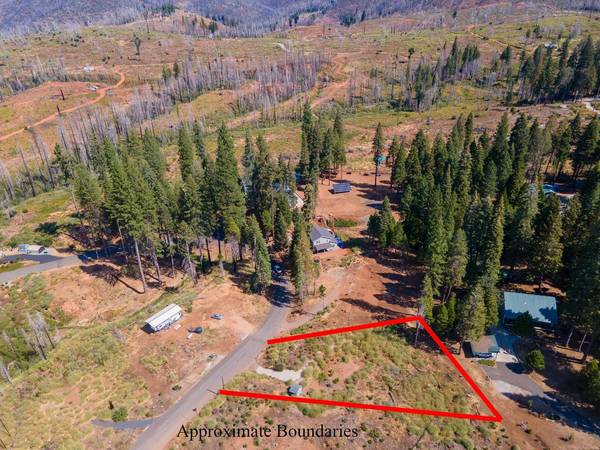 7003 Tyler DR, Grizzly Flats, CA 95636