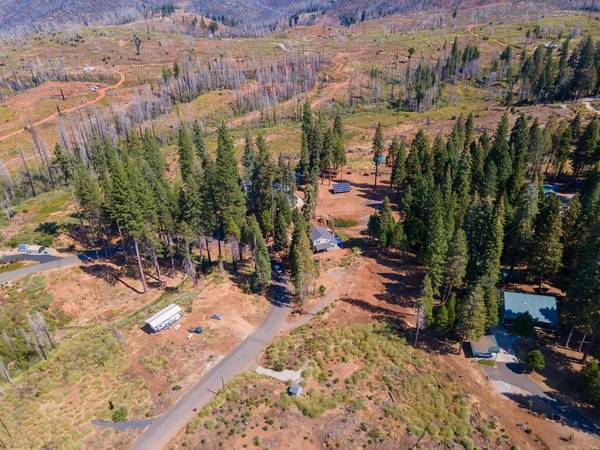 7003 Tyler DR, Grizzly Flats, CA 95636