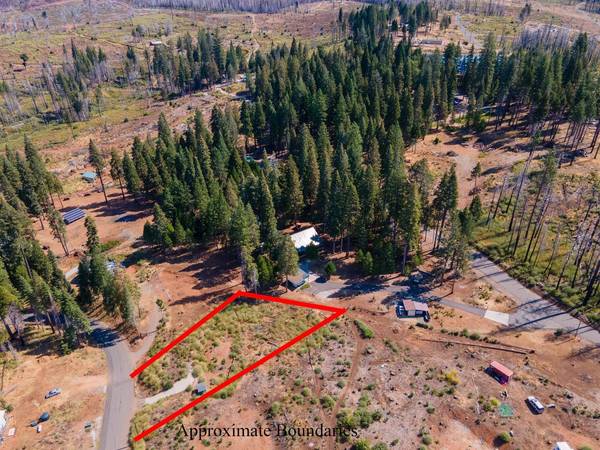 7003 Tyler DR, Grizzly Flats, CA 95636