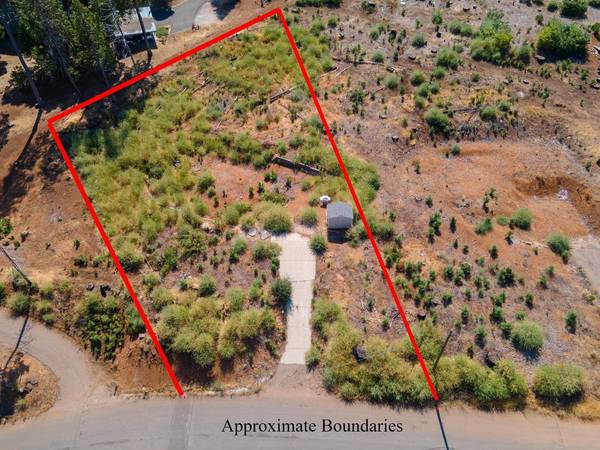 7003 Tyler DR, Grizzly Flats, CA 95636