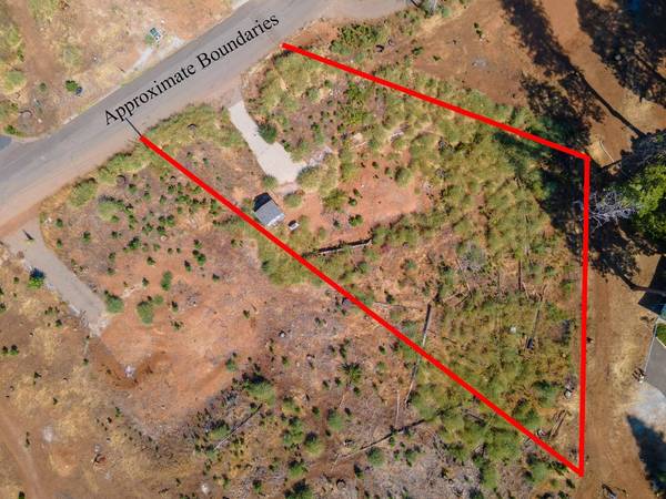 7003 Tyler DR, Grizzly Flats, CA 95636