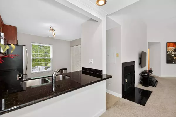 131 Kristin Circle #5, Schaumburg, IL 60195