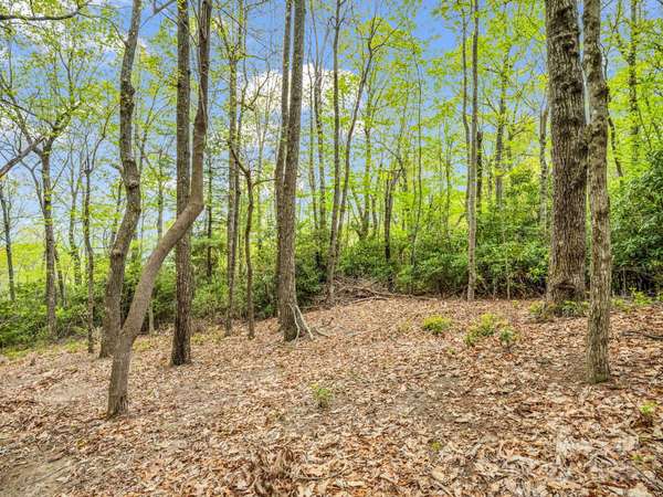 000 Pinnacle Mountain RD, Hendersonville, NC 28790