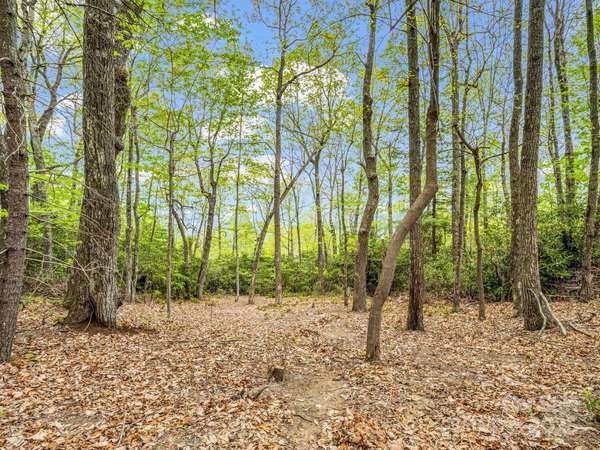 000 Pinnacle Mountain RD, Hendersonville, NC 28790
