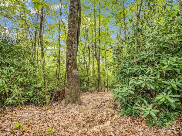 000 Pinnacle Mountain RD, Hendersonville, NC 28790