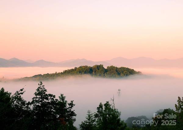 75 Treehouse HVN, Asheville, NC 28804