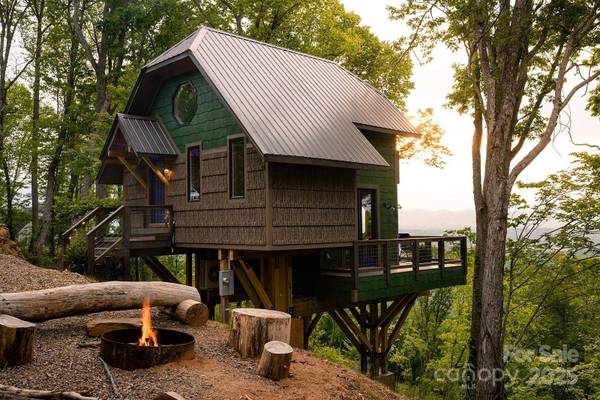 75 Treehouse HVN, Asheville, NC 28804