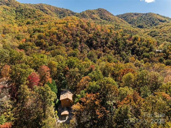 15 Coneflower CT, Black Mountain, NC 28711