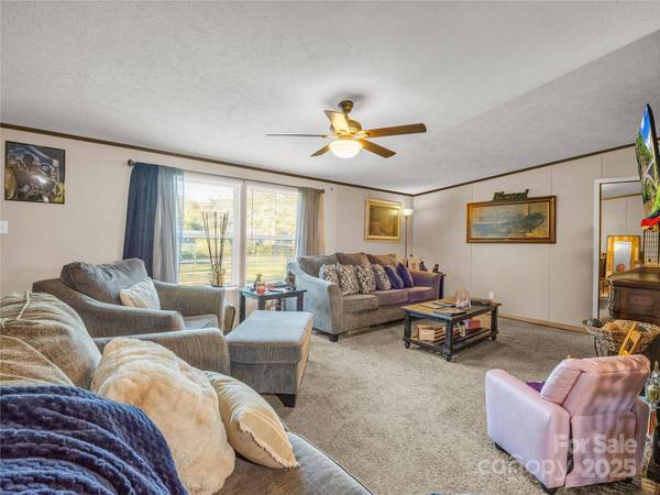 221 Turkey Pen Gap RD, Horse Shoe, NC 28742