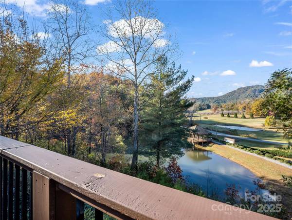 134 Raleigh DR, Lake Lure, NC 28746