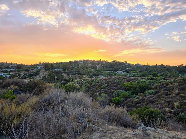 Tustin Real Estate Sales & Rental Market Update – Summer 2025