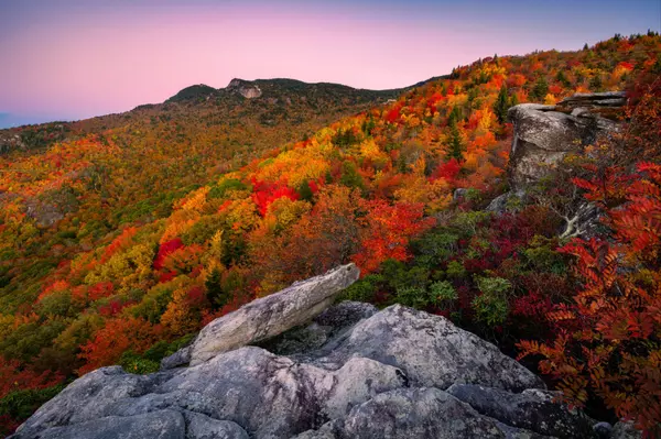 The Ultimate Guide to Fall Hiking in North Georgia 