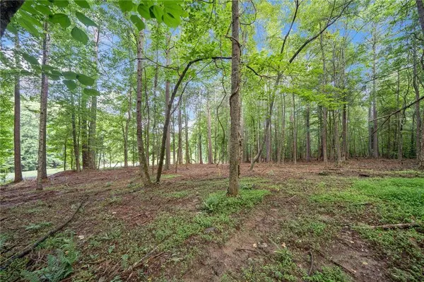 235 Brock TRL, Milton, GA 30004