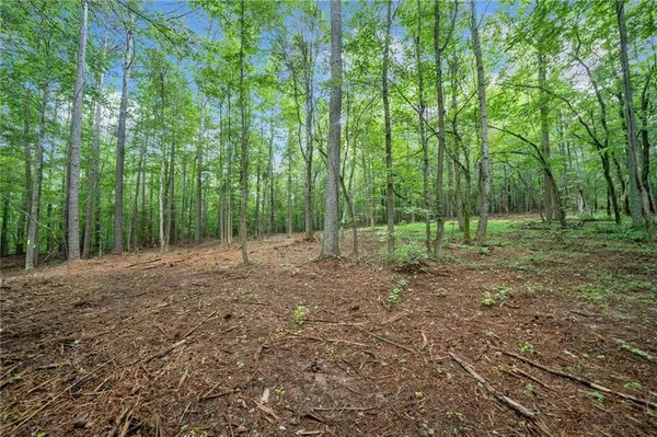 240 Brock TRL, Milton, GA 30004