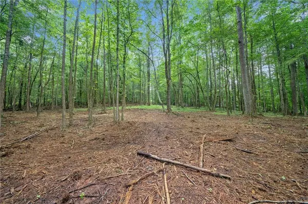 225 Brock TRL, Milton, GA 30004