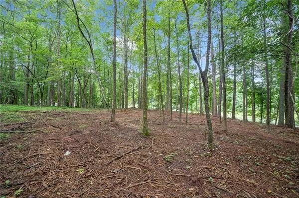 235 Brock TRL, Milton, GA 30004