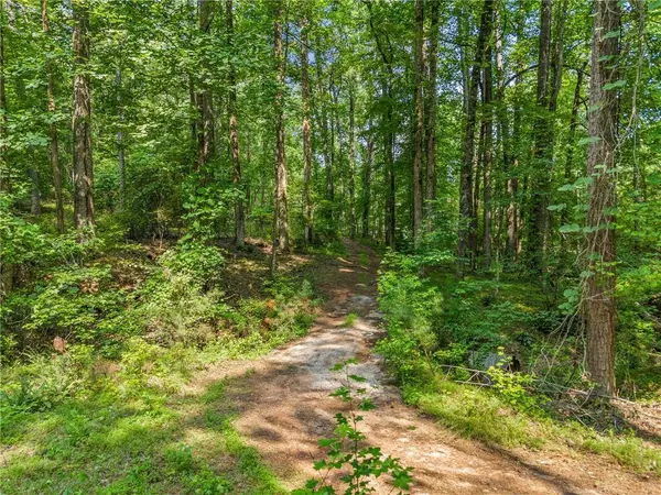 0 Brock Trail, Milton, GA 30004