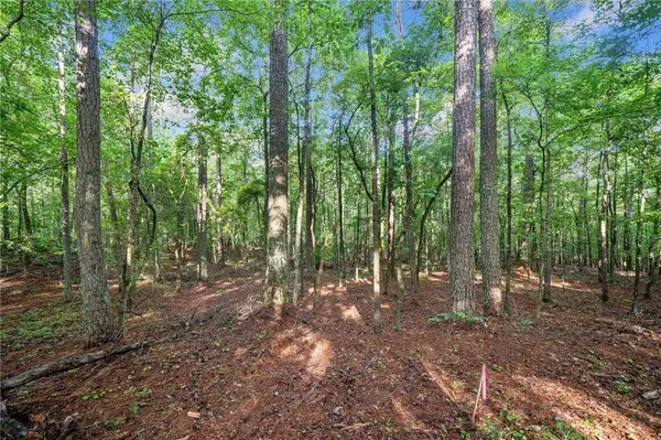 0 Brock Trail, Milton, GA 30004