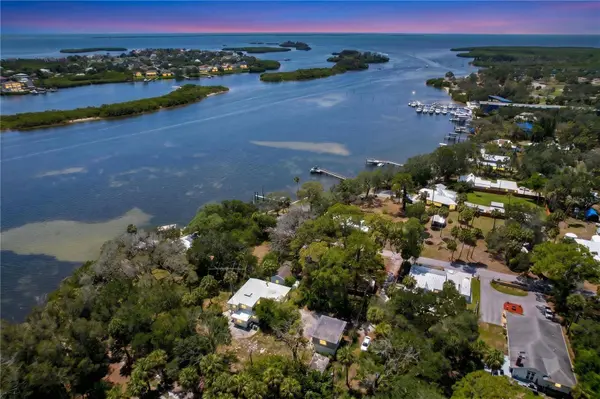 1275 MICKLER LN, Tarpon Springs, FL 34689