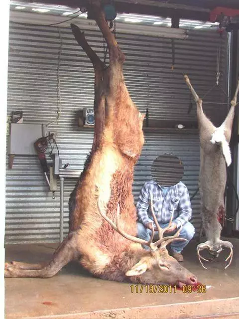 tbd CR 430, Crowell, TX 79227