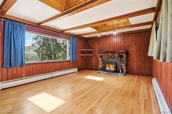 6178 S Skyline DR, Evergreen, CO 80439