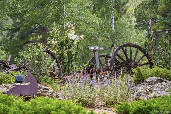 90 Rose Hip LN, Evergreen, CO 80439