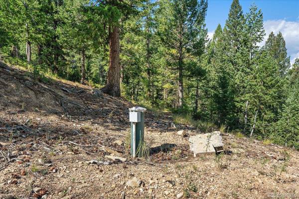 33844 Bergen View TRL, Evergreen, CO 80439