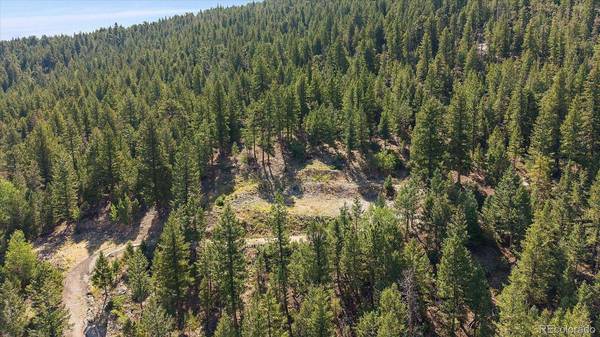 33844 Bergen View TRL, Evergreen, CO 80439