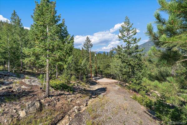 33844 Bergen View TRL, Evergreen, CO 80439