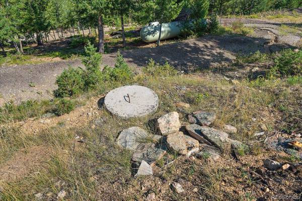 33844 Bergen View TRL, Evergreen, CO 80439