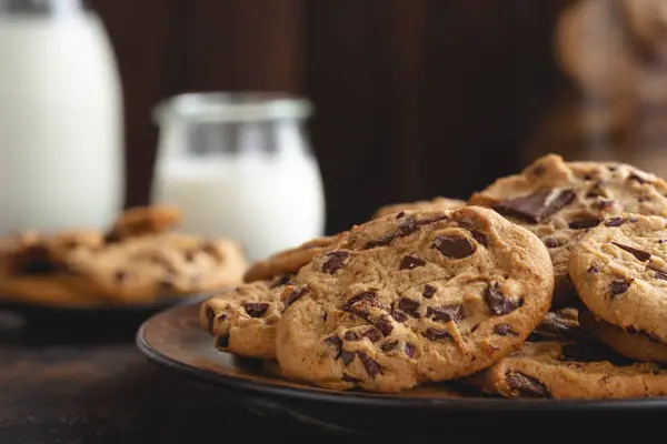 Diabetic Friendly Allergy Free Vegan Chocolate Chip Cookies,Ken Alger