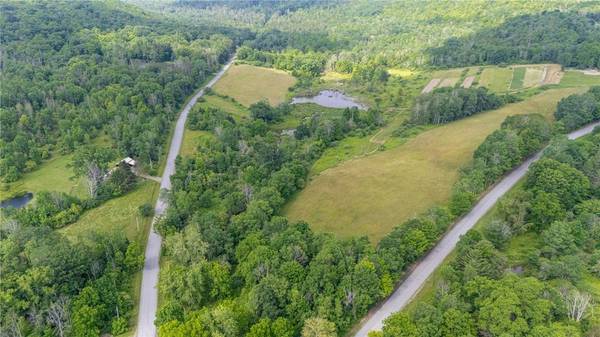 Scoville Rd, Dansville, NY 14437