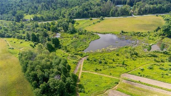 Scoville Rd, Dansville, NY 14437