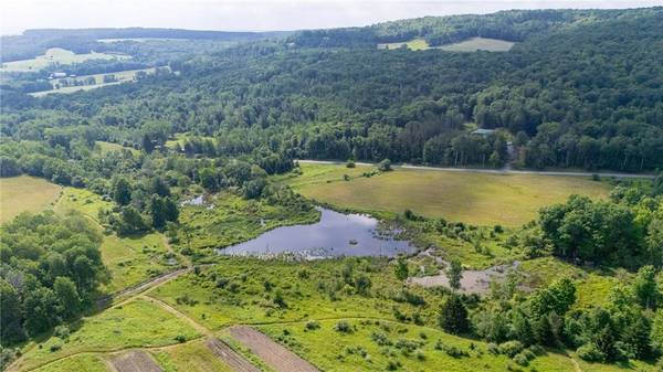 Scoville Rd, Dansville, NY 14437