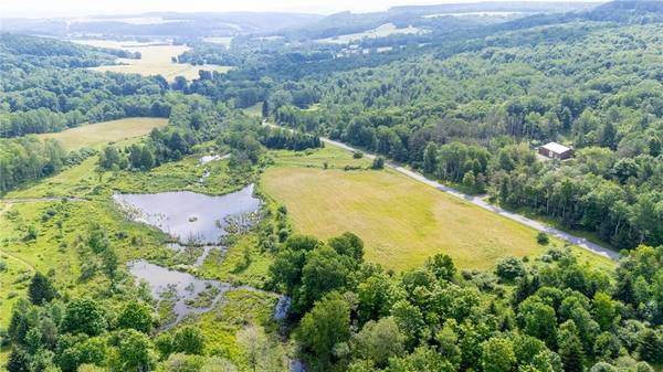 Scoville Rd, Dansville, NY 14437