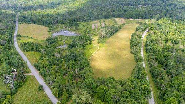 Scoville Rd, Dansville, NY 14437