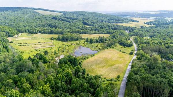 Scoville Rd, Dansville, NY 14437