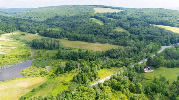 Scoville Rd, Dansville, NY 14437